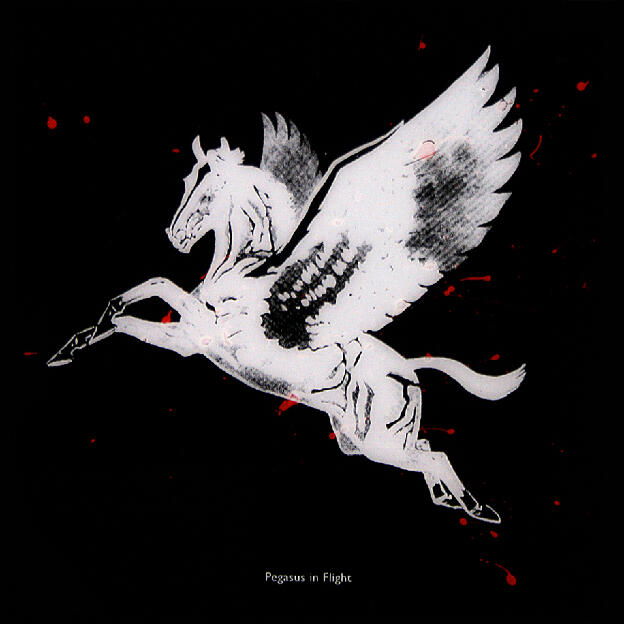 Pegasus in Flight (black) 12